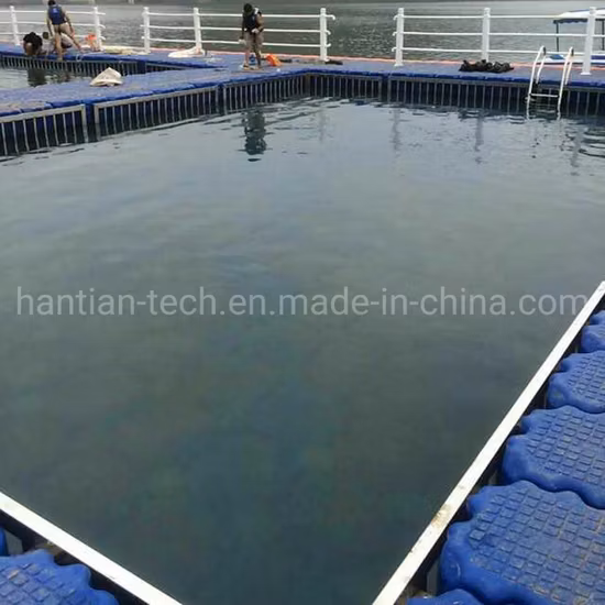 Water Floating Platform Modular HDPE Plastic Pool Float for Sale